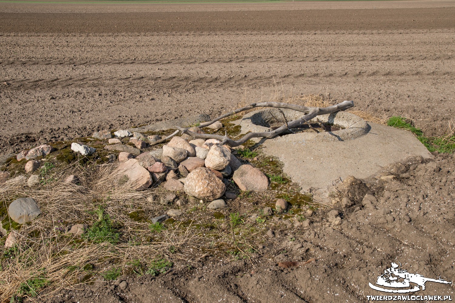 Read more about the article Schron Ringstand 58c – GU 02