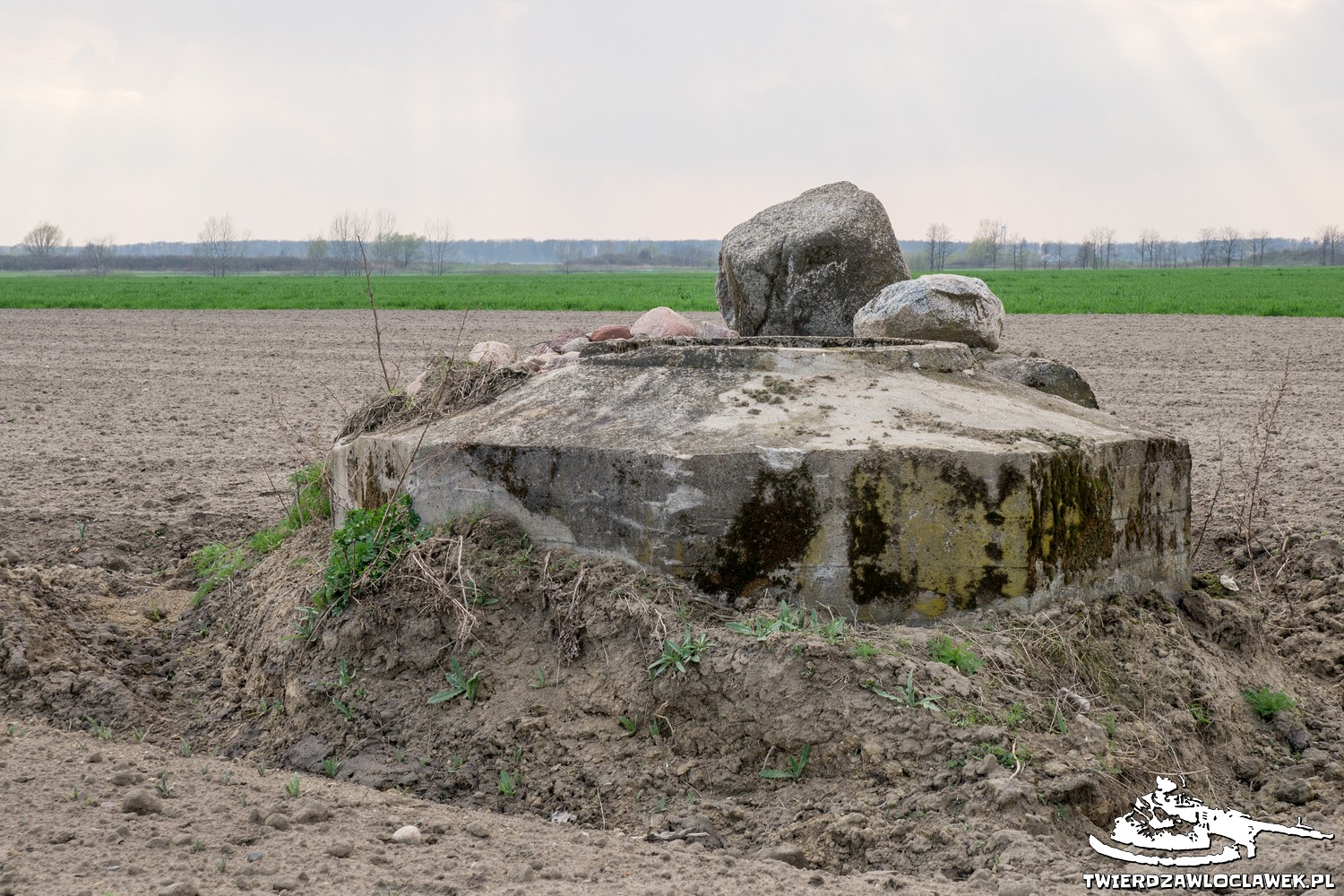 You are currently viewing Schron Ringstand 58c – GU X4