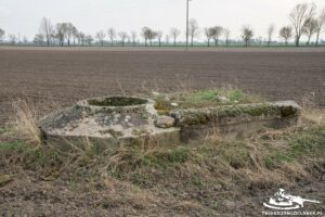 Read more about the article Schron Ringstand 58c – GU 06