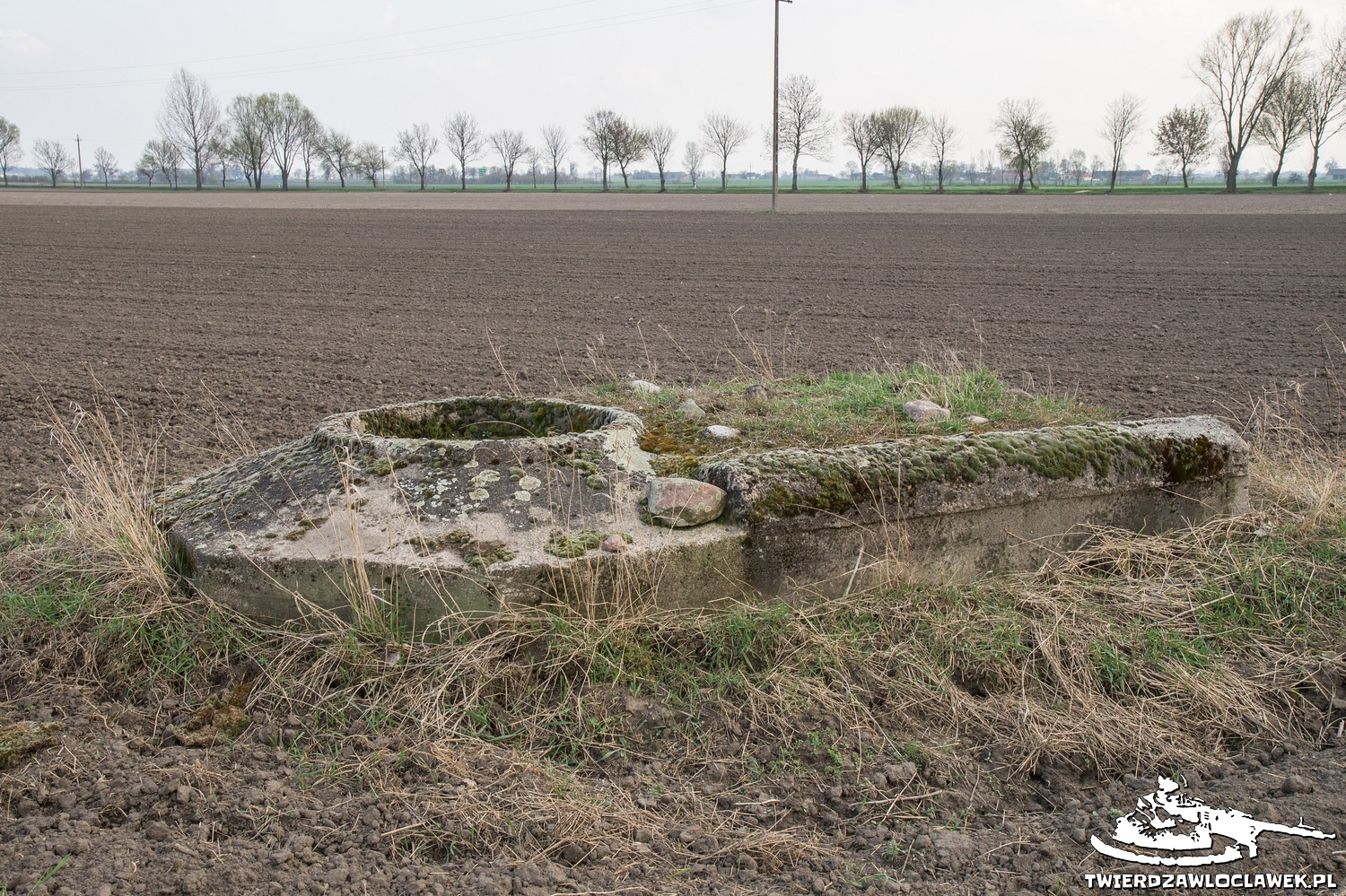 You are currently viewing Schron Ringstand 58c – GU 06