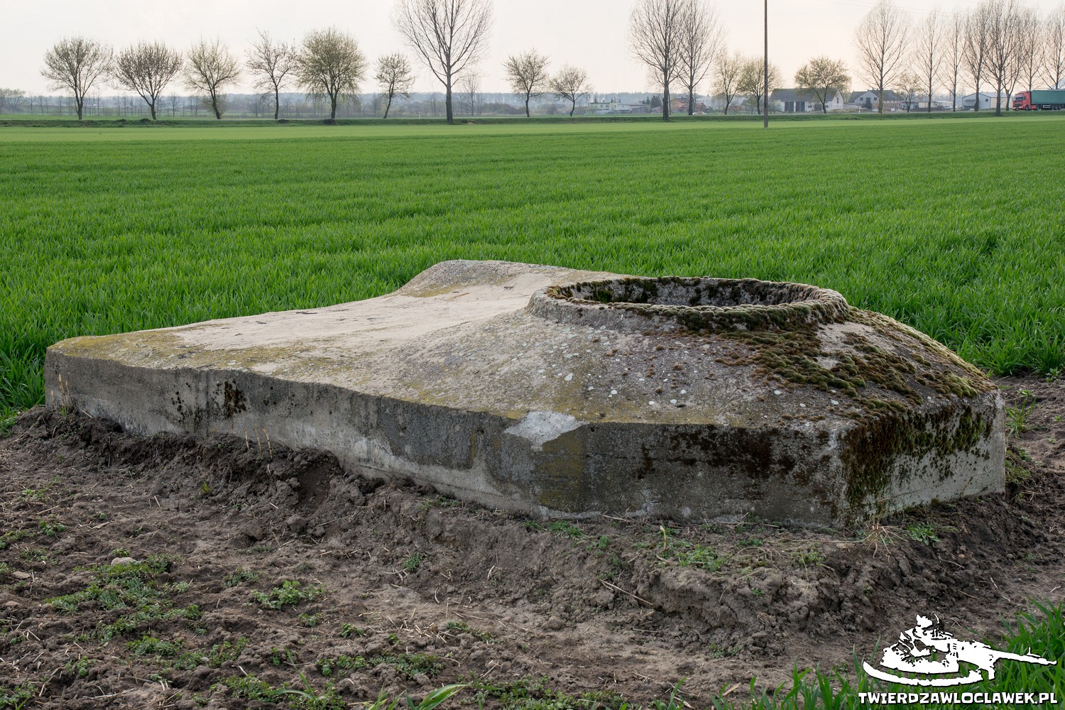 Read more about the article Schron Ringstand 58c – GU 04