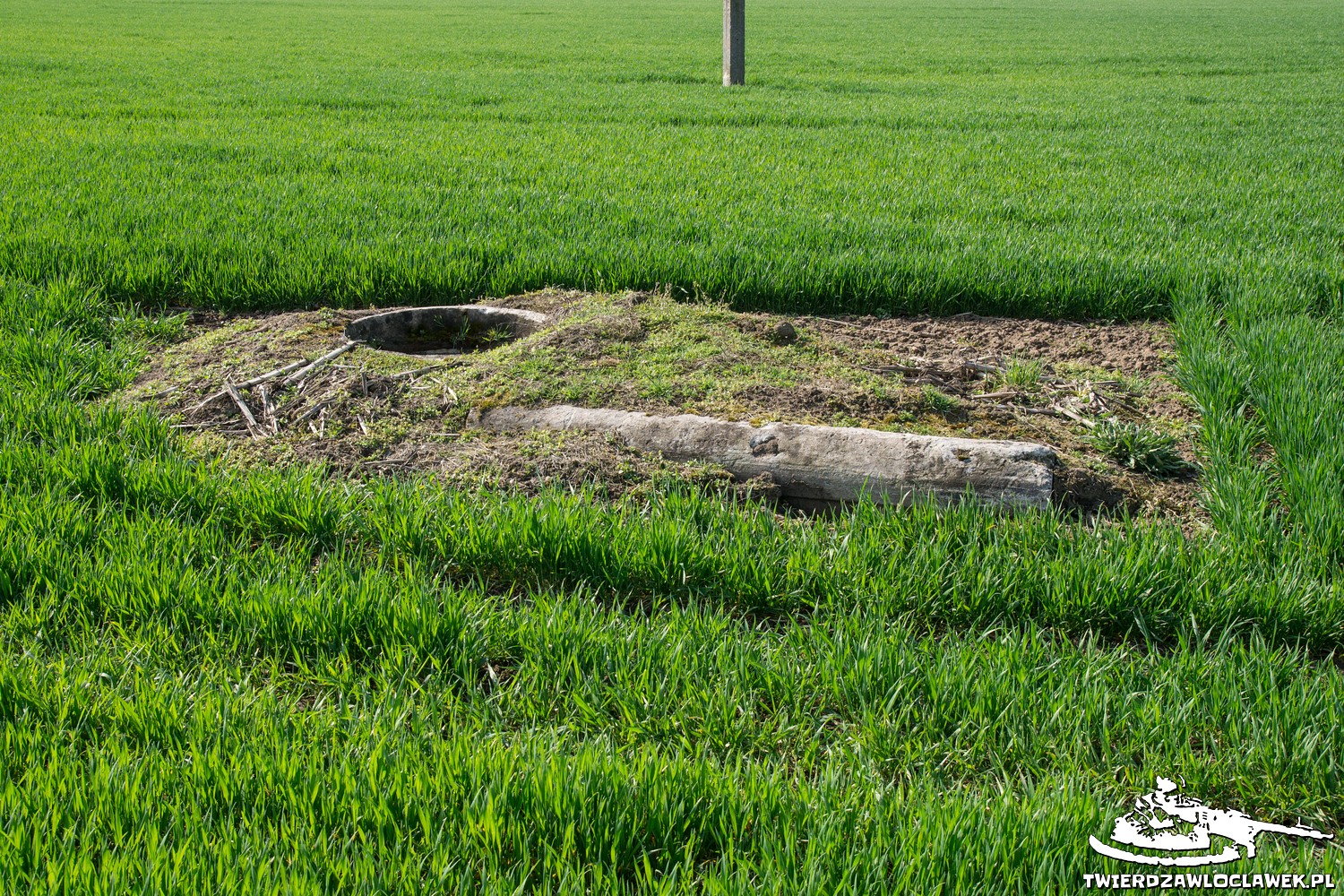 Read more about the article Schron Ringstand 58c – S 03