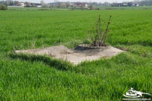 Read more about the article Schron Ringstand 58c – S 04