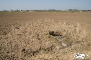 Read more about the article Schron Ringstand 58c – S 07