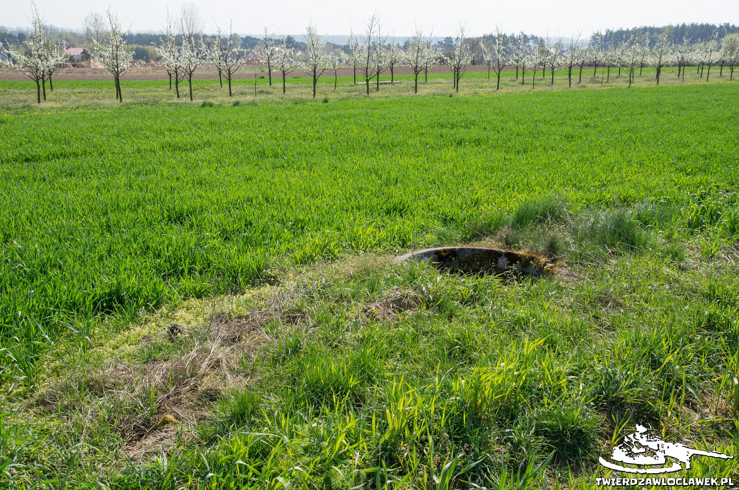 Read more about the article Schron Ringstand 58c – NO 01