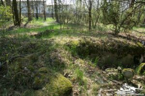 Read more about the article Schron Ringstand 58c – NO 02