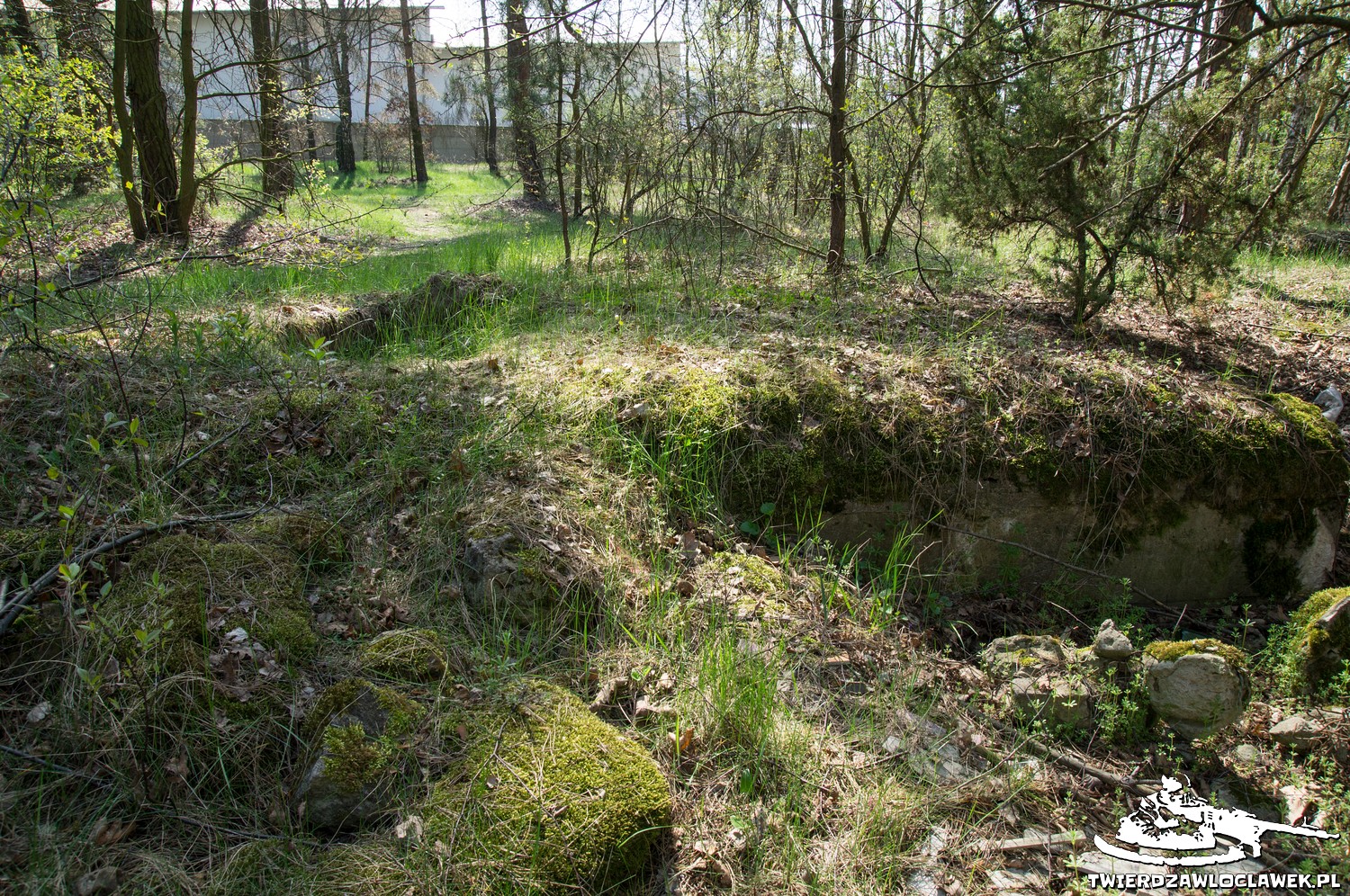 Read more about the article Schron Ringstand 58c – NO 02