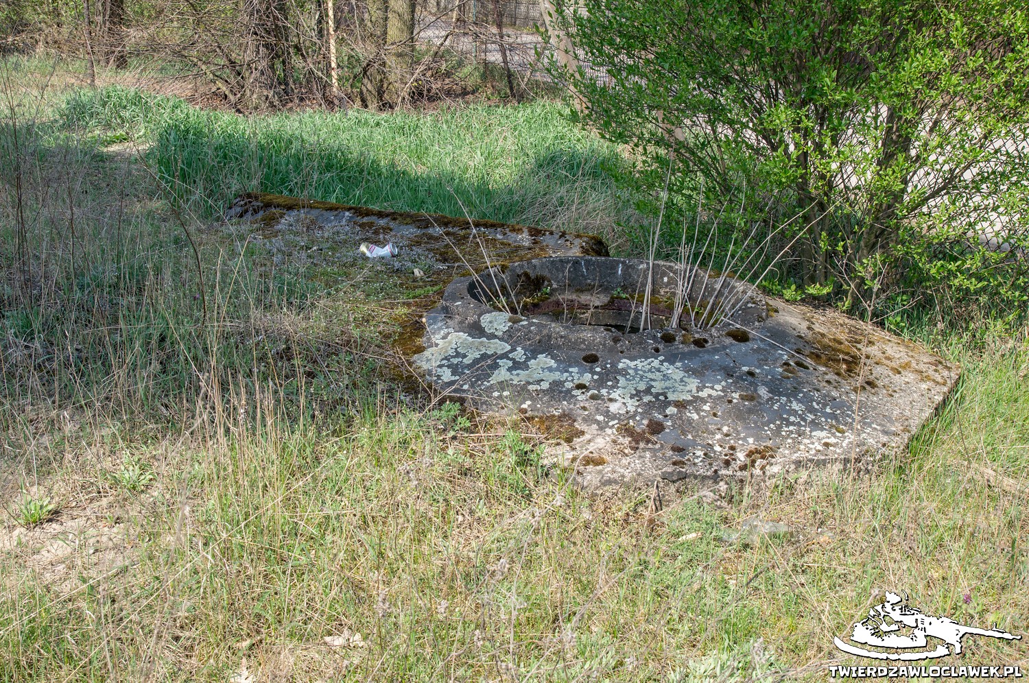 Read more about the article Schron Ringstand 58c – NO 04