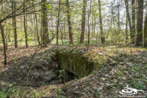 Read more about the article Schron Ringstand 58c – LU 04