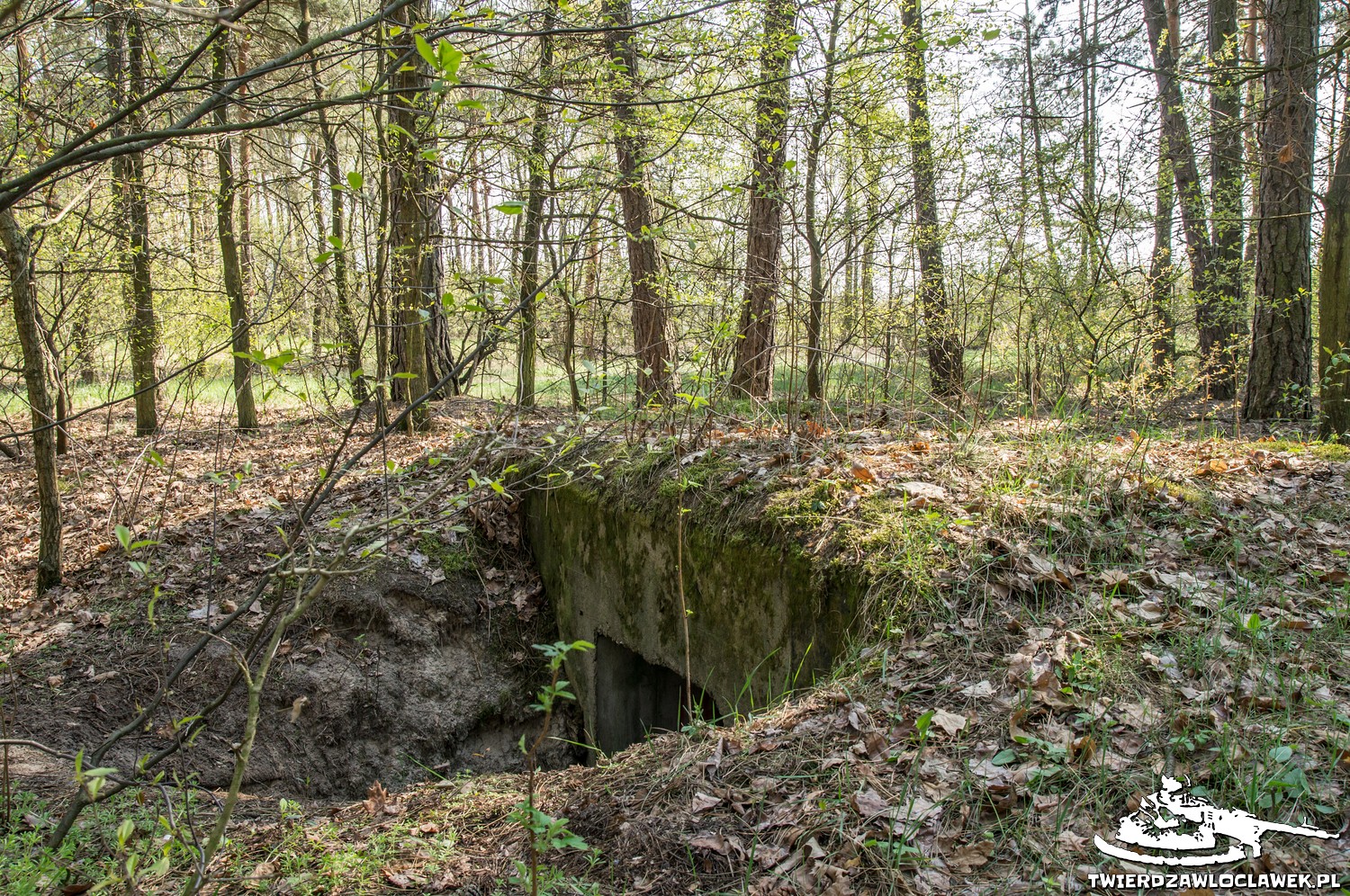 Read more about the article Schron Ringstand 58c – LU 04