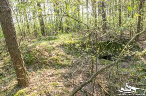 Read more about the article Schron Ringstand 58c – LU 06