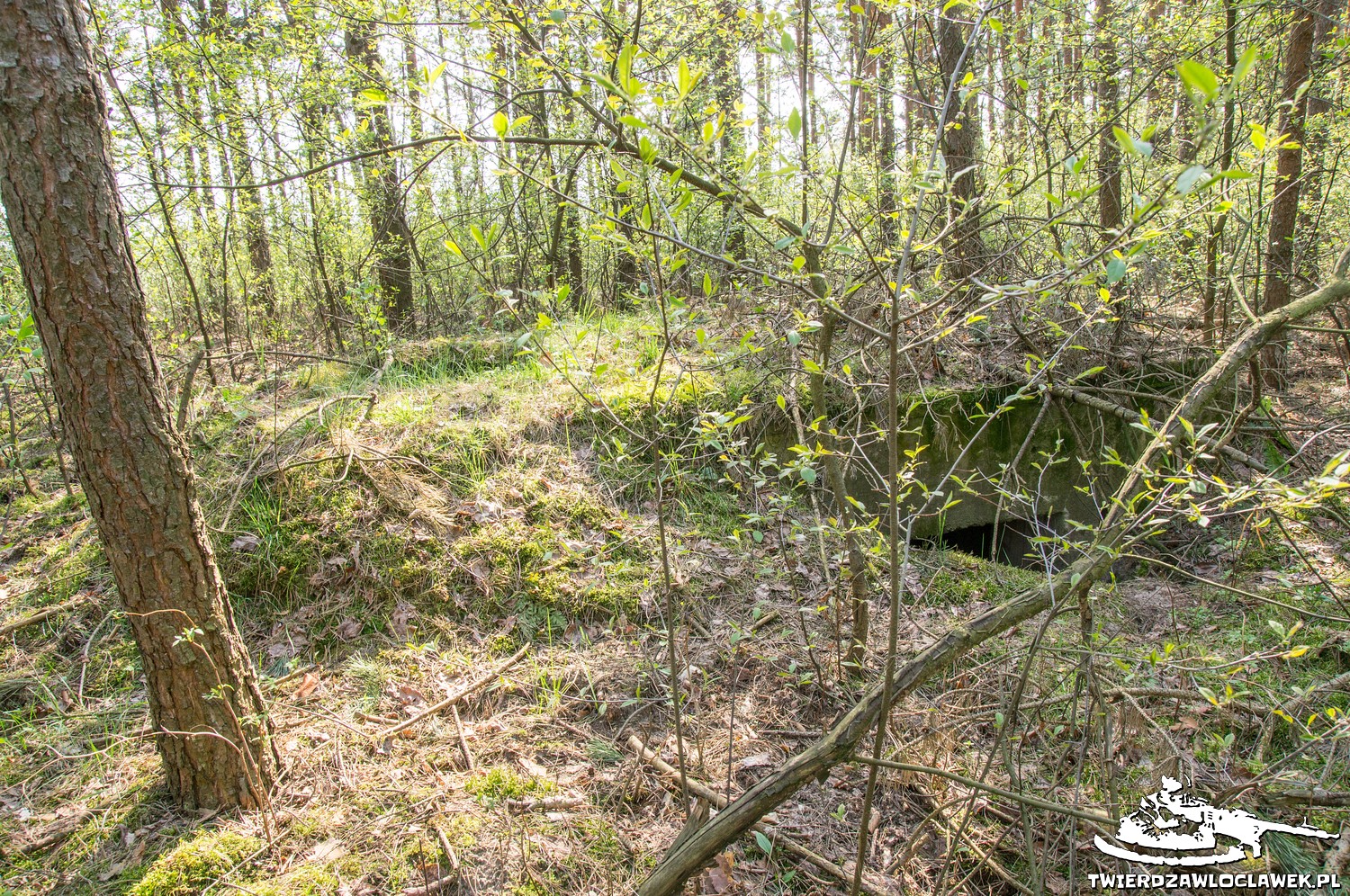 Read more about the article Schron Ringstand 58c – LU 06