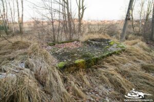 Read more about the article Schron Ringstand 58c – M 03