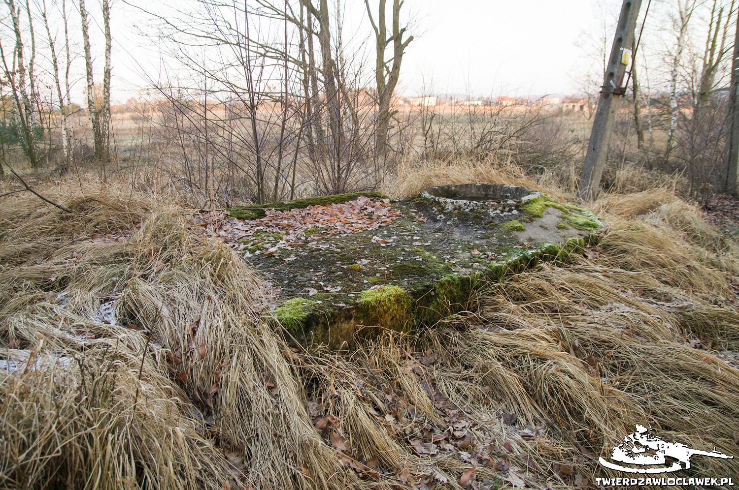 You are currently viewing Schron Ringstand 58c – M 03