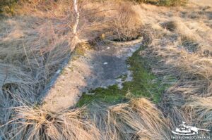 Read more about the article Schron Ringstand 58c – M 11