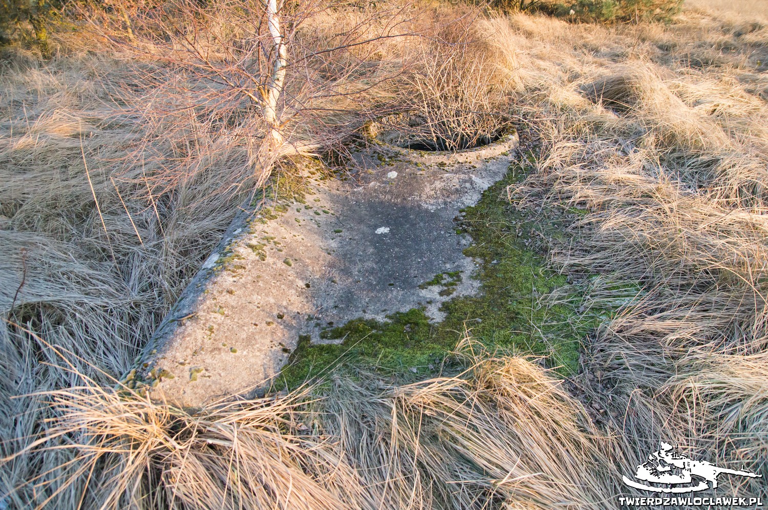 You are currently viewing Schron Ringstand 58c – M 11