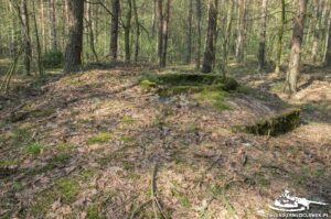 Read more about the article Schron Ringstand 58c – WA 02