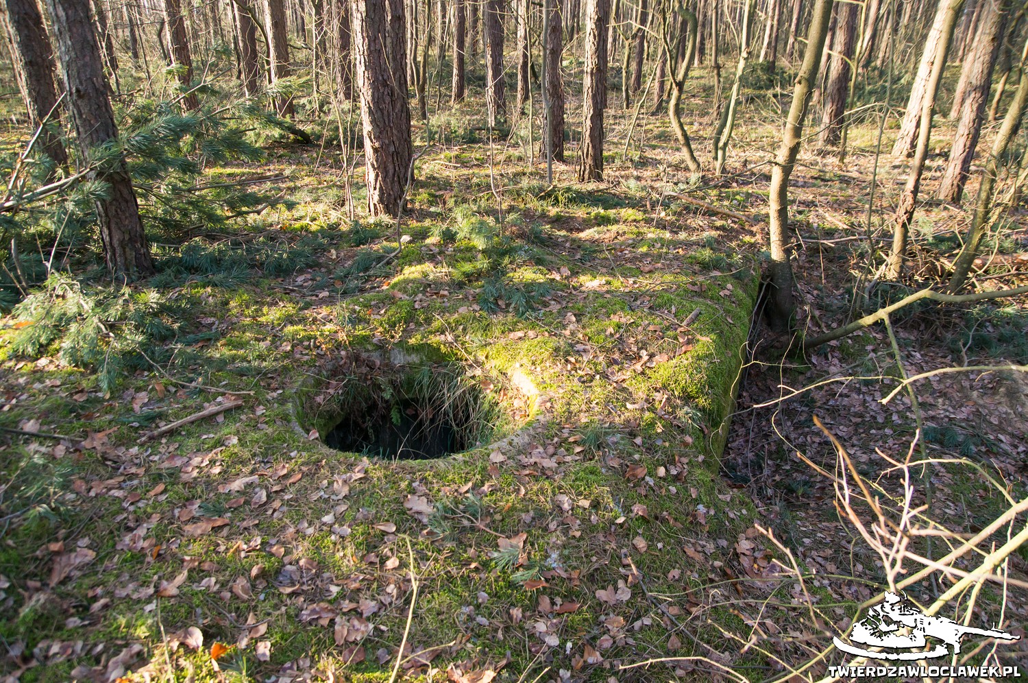 Read more about the article Schron Ringstand 58c – R 02