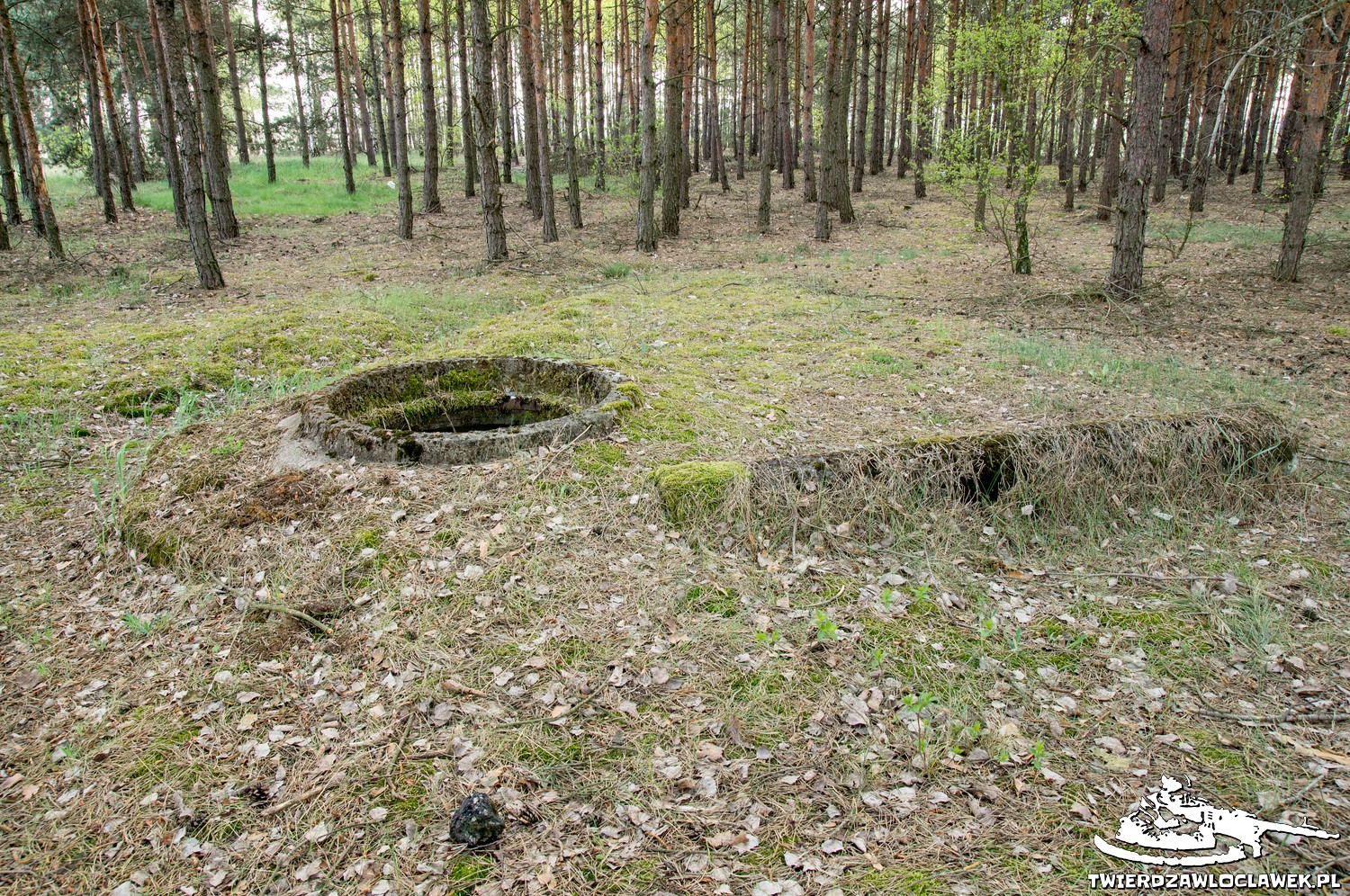 Read more about the article Schron Ringstand 58c – WA 03