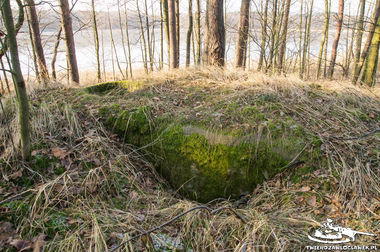 Read more about the article Schron Ringstand 58c – R 07