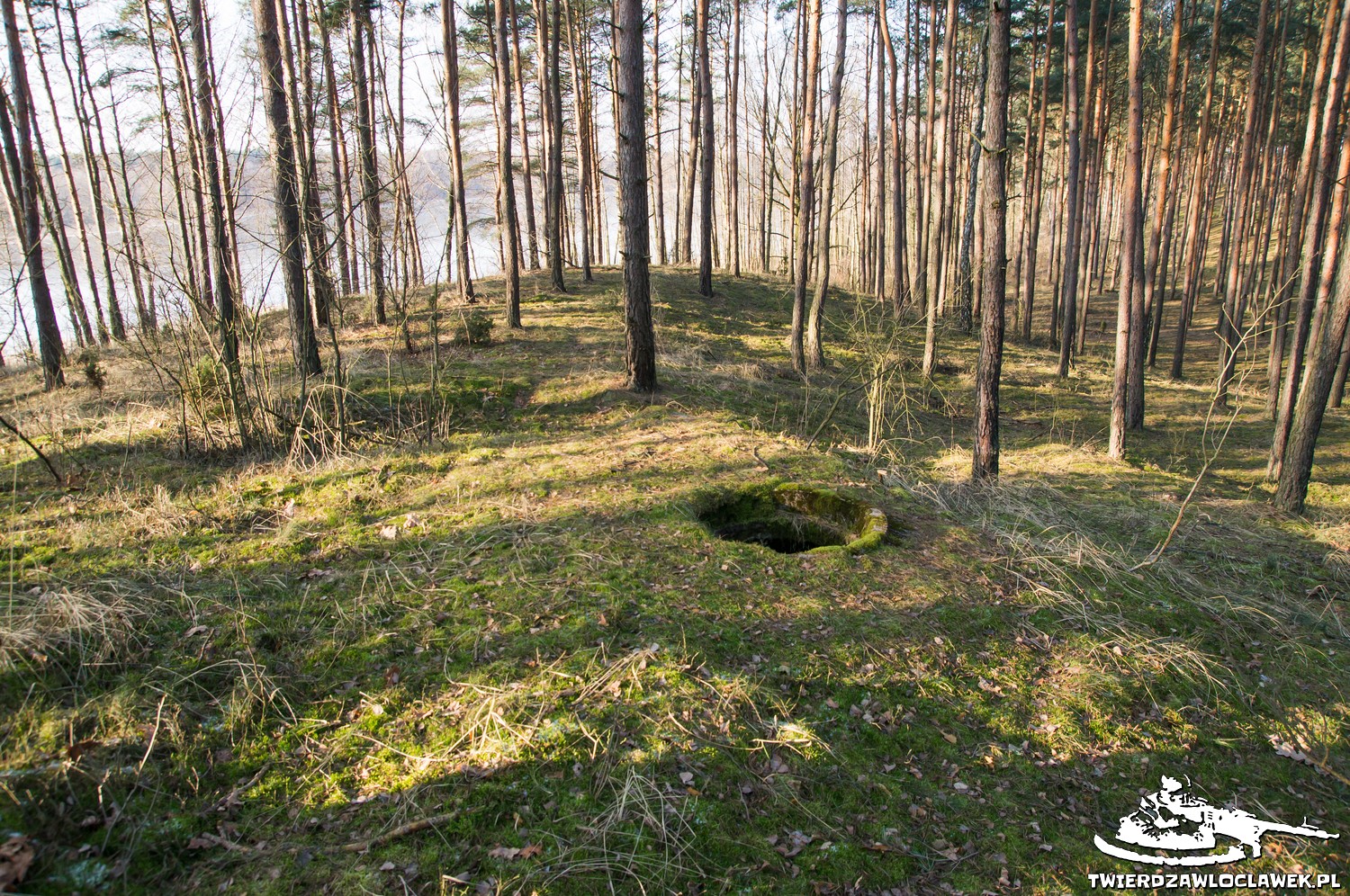 Read more about the article Schron Ringstand 58c – R 05