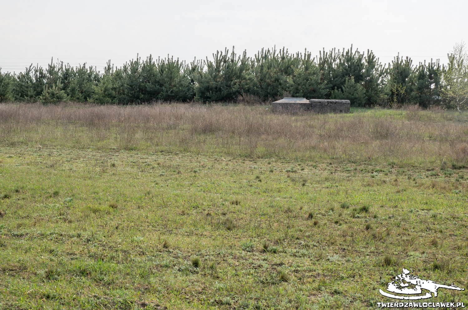 Read more about the article Schron Ringstand 58c – WA 09