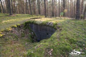 Read more about the article Schron Ringstand 58c – R 06