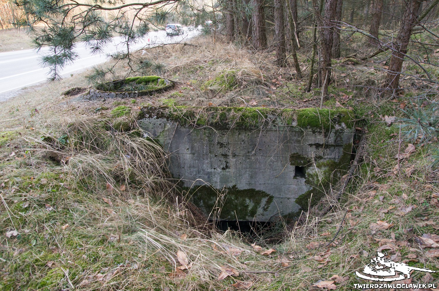 Read more about the article Schron Ringstand 58c – DK 03