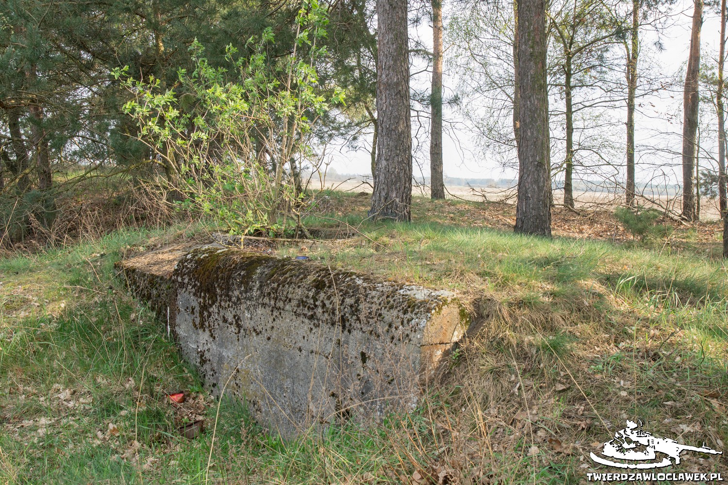 Read more about the article Schron Ringstand 58c – WA 05