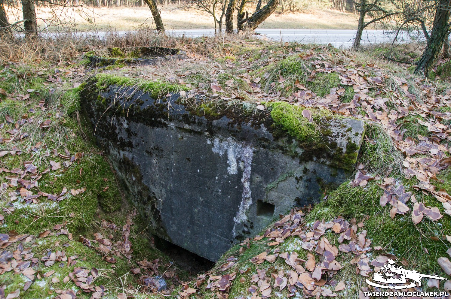 Read more about the article Schron Ringstand 58c – DK 01