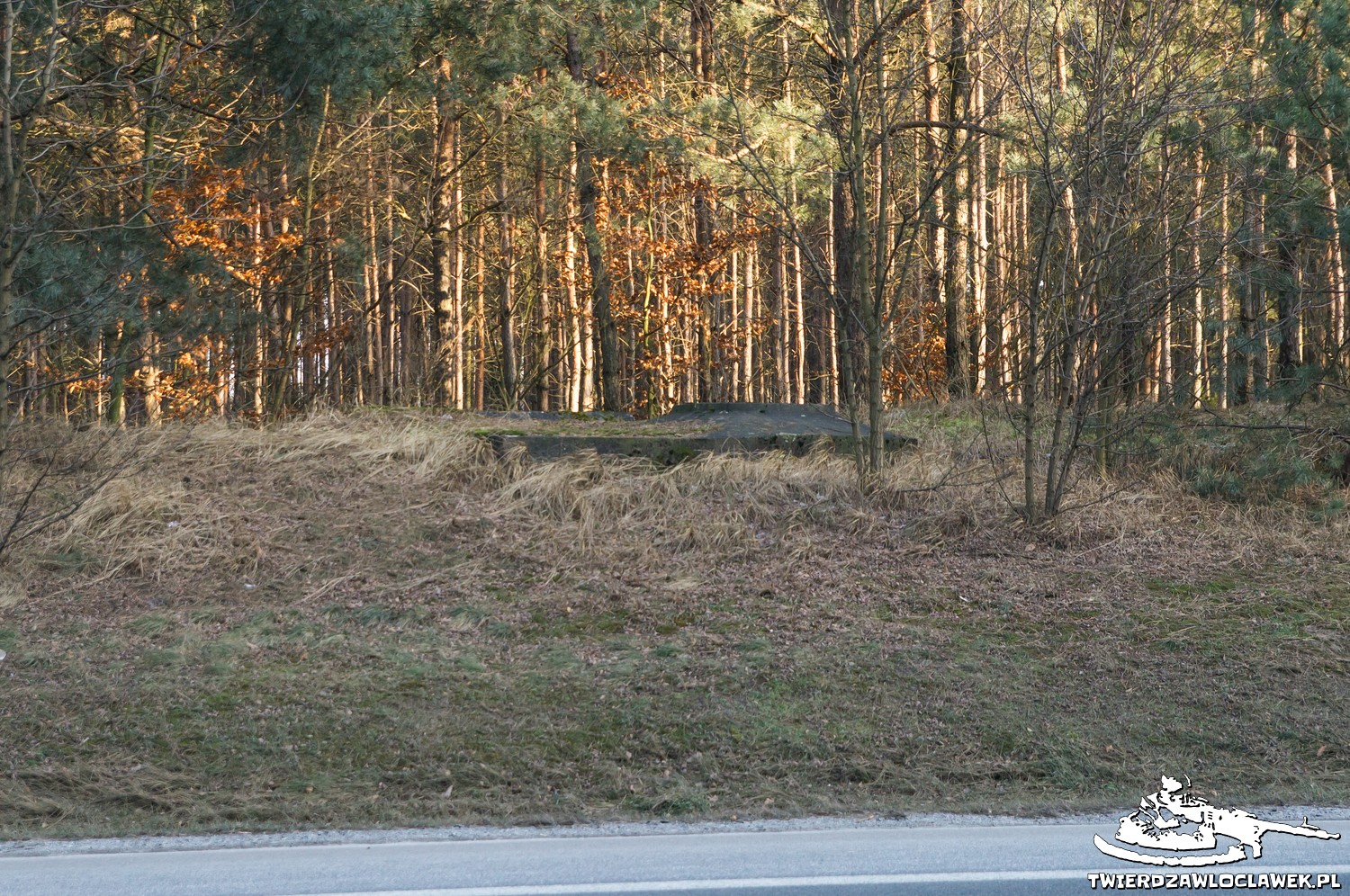 Read more about the article Schron Ringstand 58c – DK 02