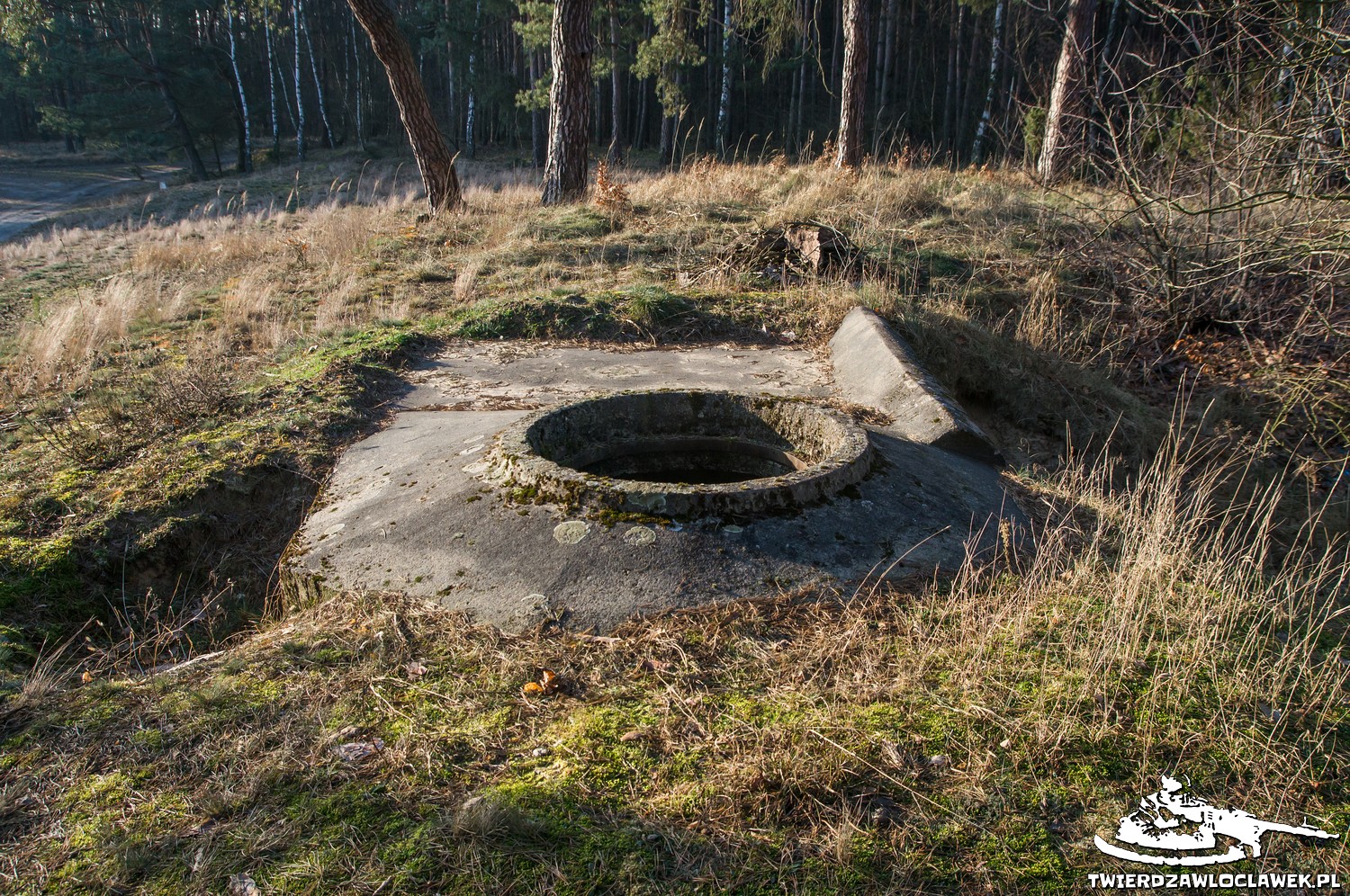 Read more about the article Schron Ringstand 58c – BU 01