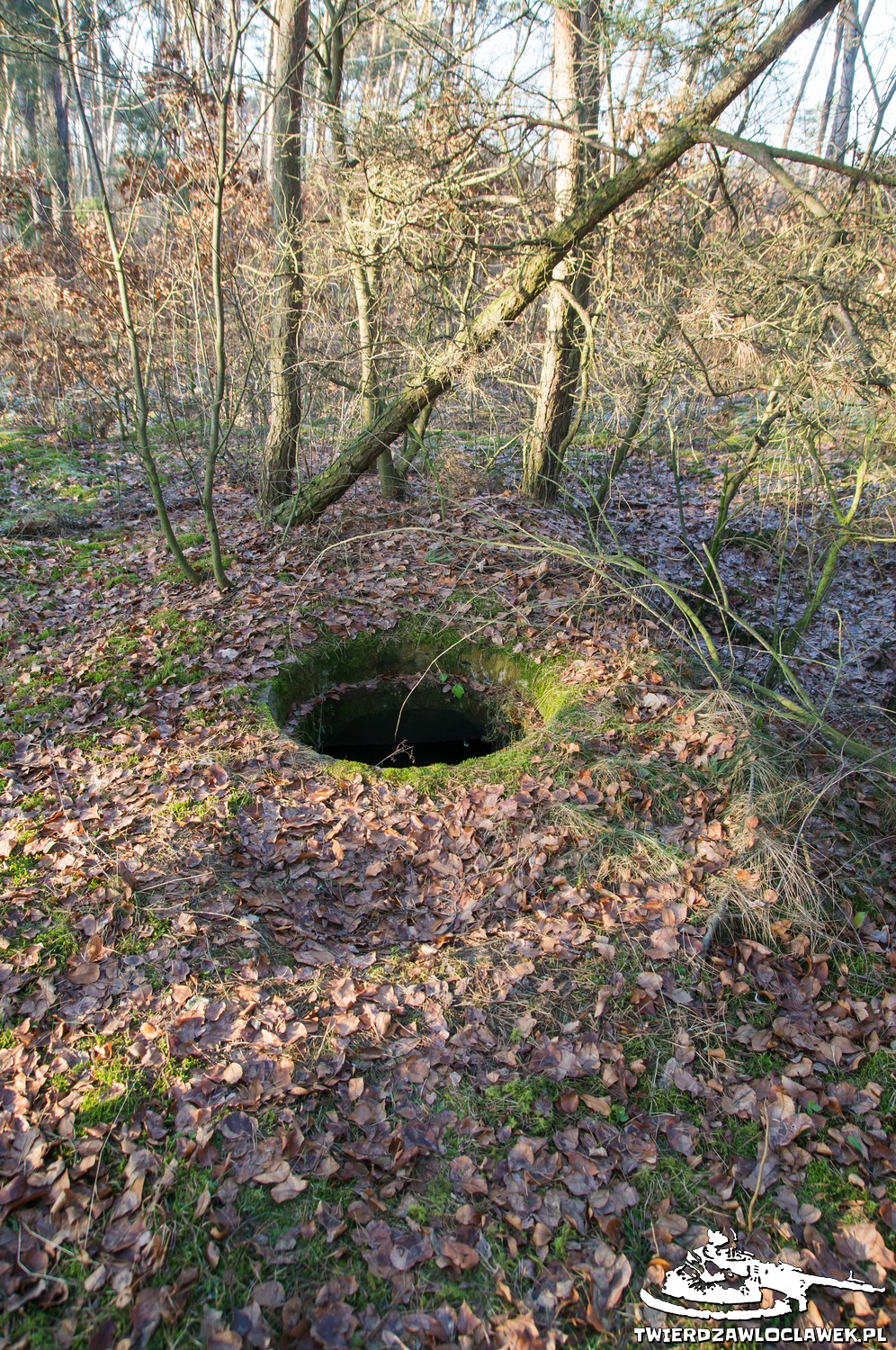 Read more about the article Schron Ringstand 58c – BU 02