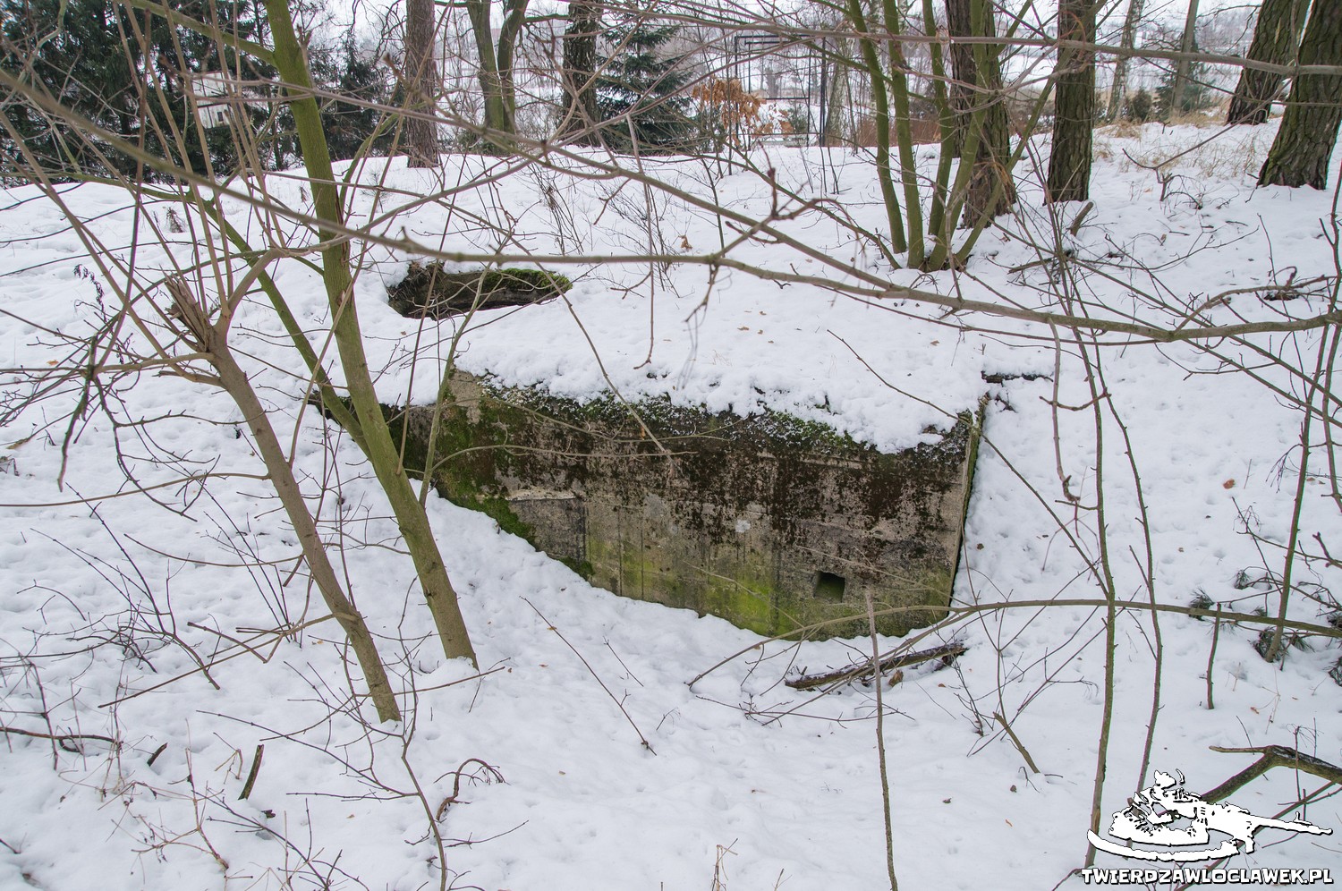 Read more about the article Schron Ringstand 58c – C 05