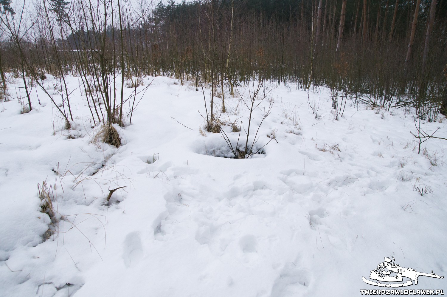 Read more about the article Schron Ringstand 58c – C 04