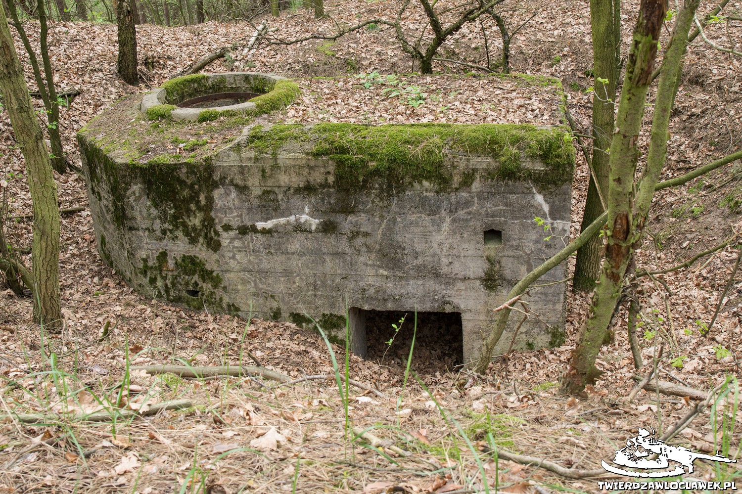 Read more about the article Schron Ringstand 58c – NW 05