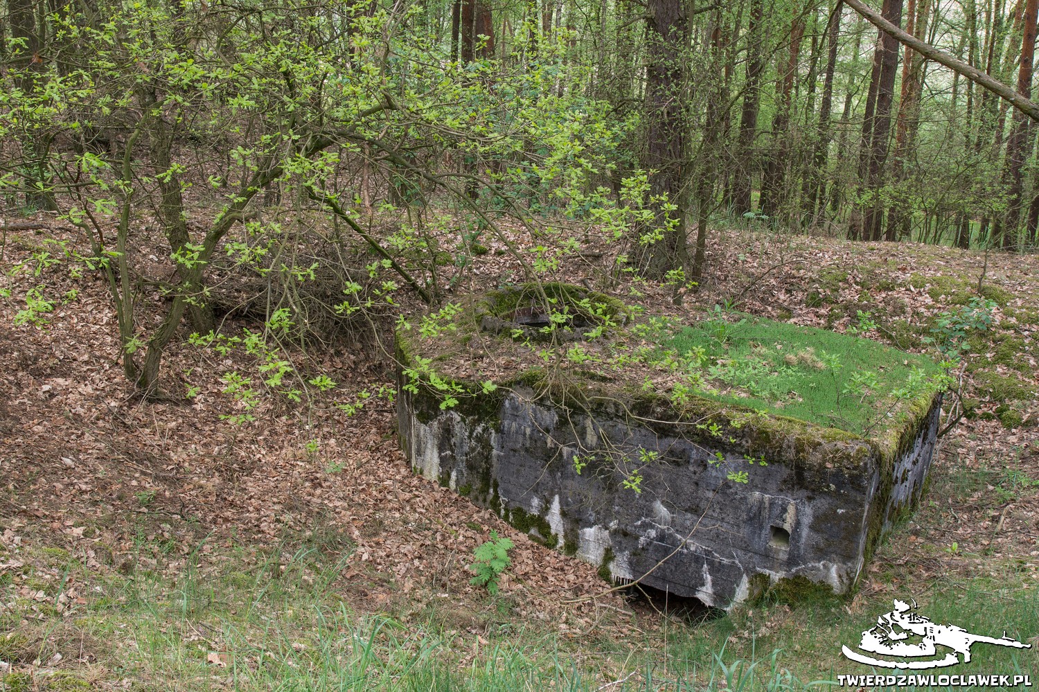 You are currently viewing Schron Ringstand 58c – NW 04