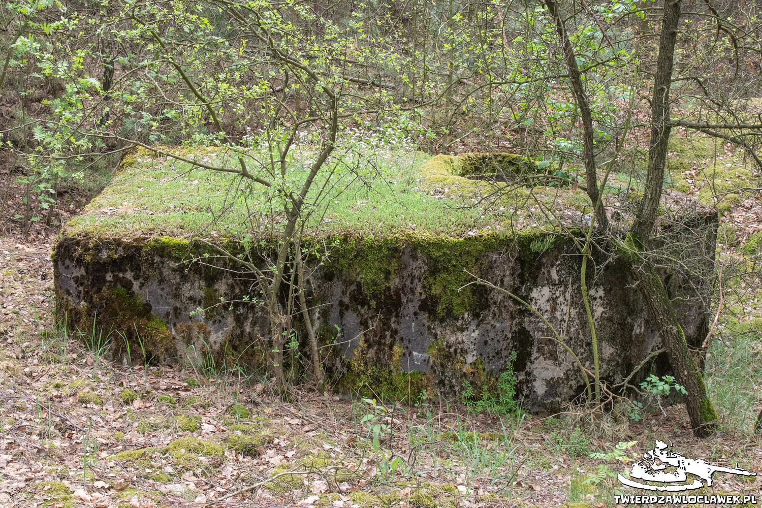 Read more about the article Schron Ringstand 58c – NW 03