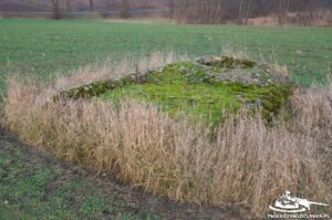 Read more about the article Schron Ringstand 58c – IK 10