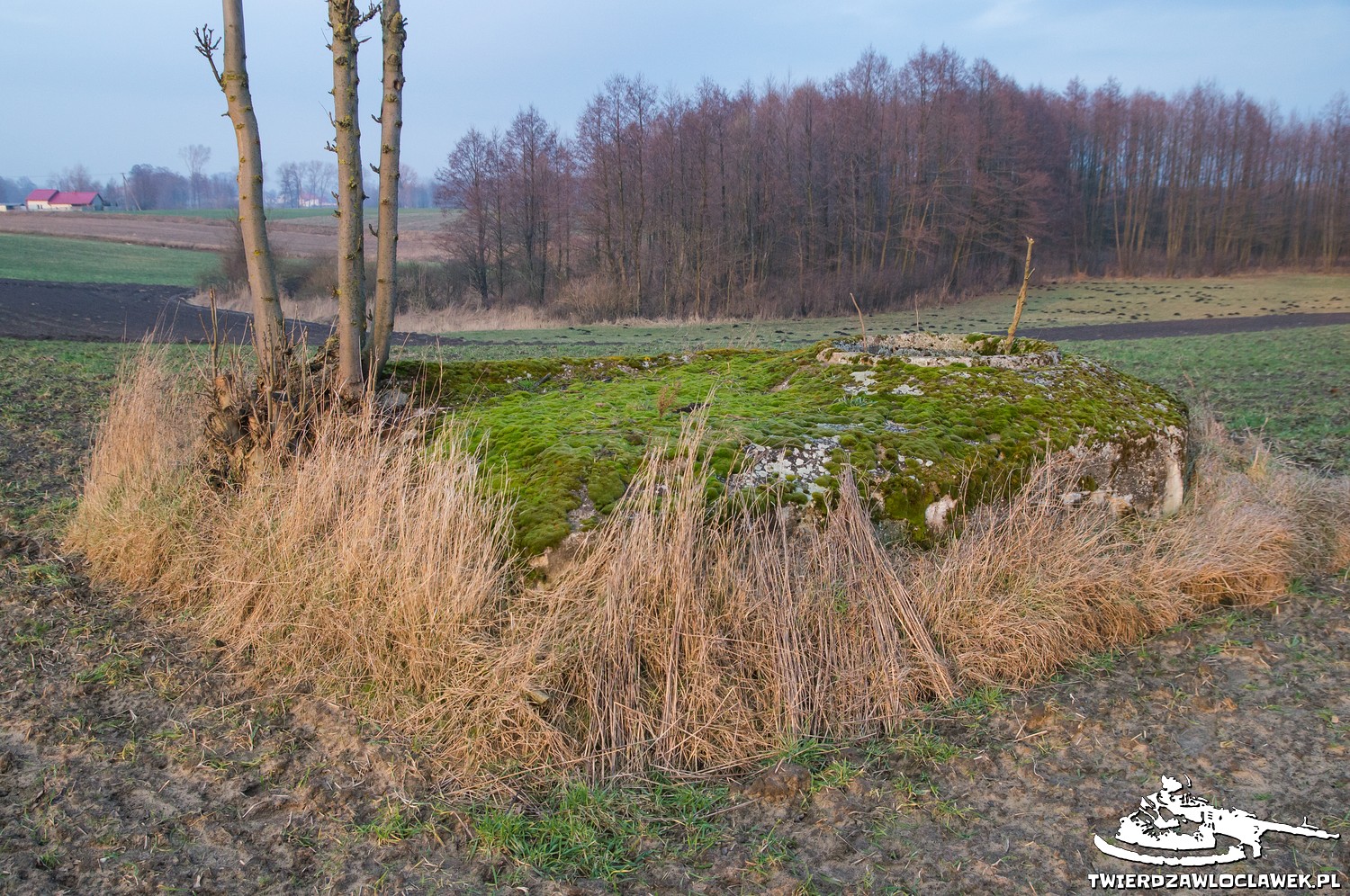 Read more about the article Schron Ringstand 58c – IK 13