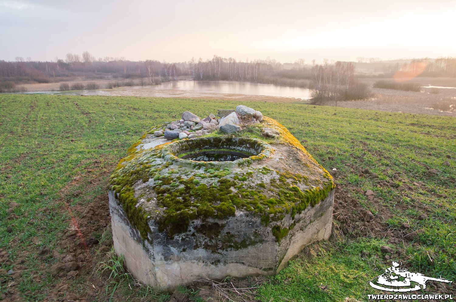 Read more about the article Schron Ringstand 58c – IK 14