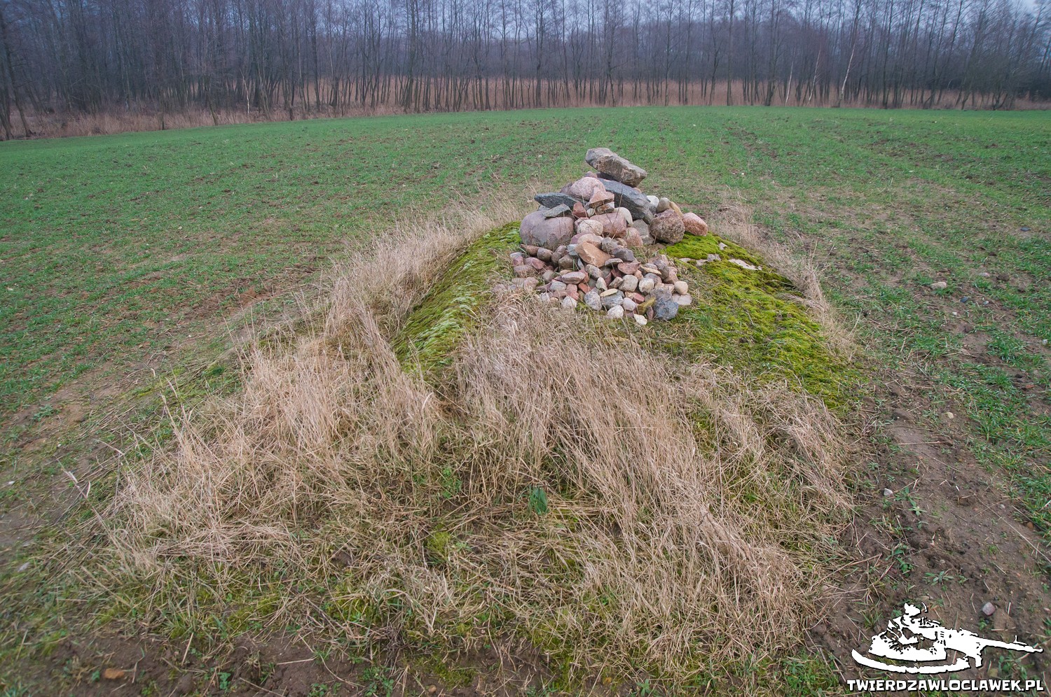 Read more about the article Schron Ringstand 58c – IK 11