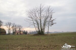 Read more about the article Schron Ringstand 58c – IK 08