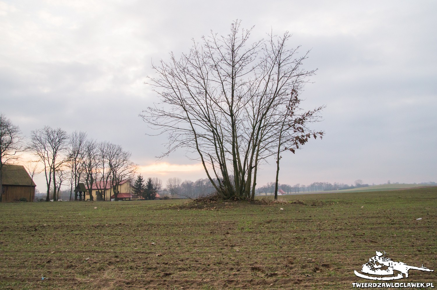 Read more about the article Schron Ringstand 58c – IK 08