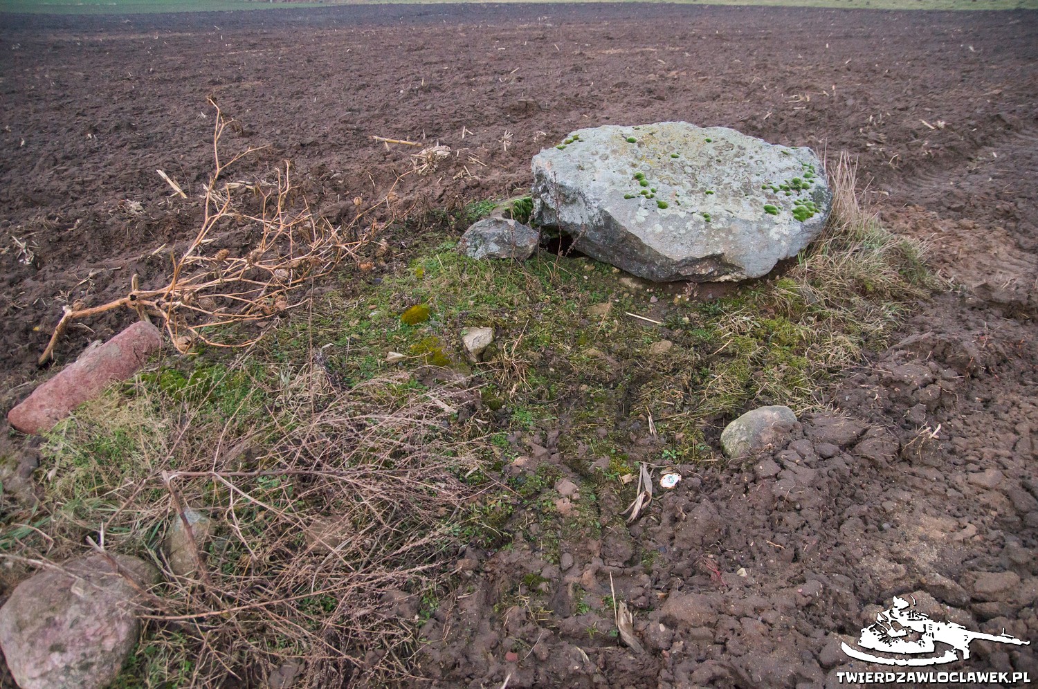 Read more about the article Schron Ringstand 58c – IK 03