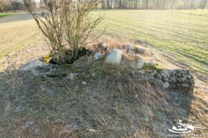 Read more about the article Schron Ringstand 58c – IK 04