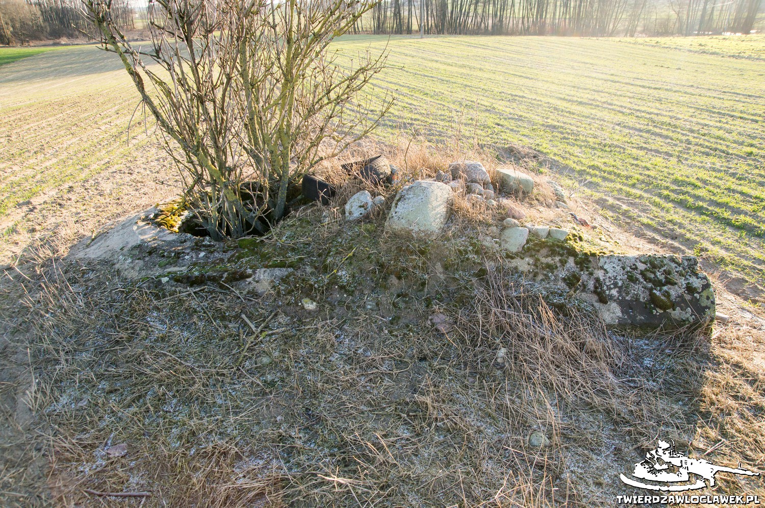 Read more about the article Schron Ringstand 58c – IK 04