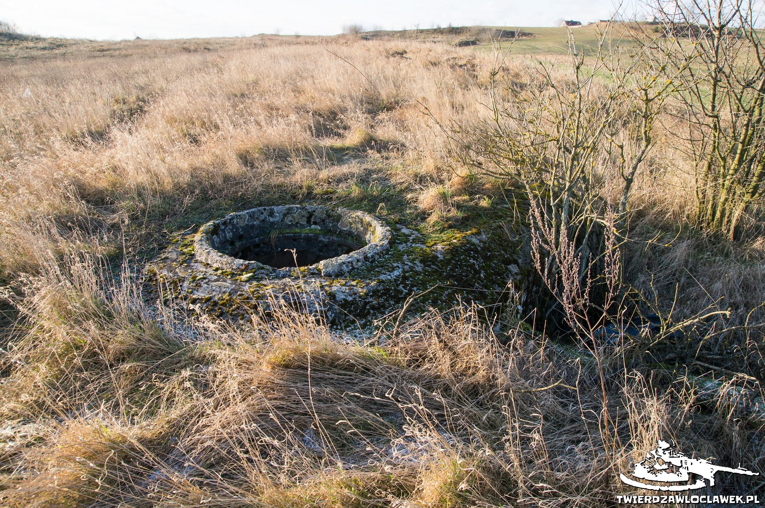 Read more about the article Schron Ringstand 58c – IK 05