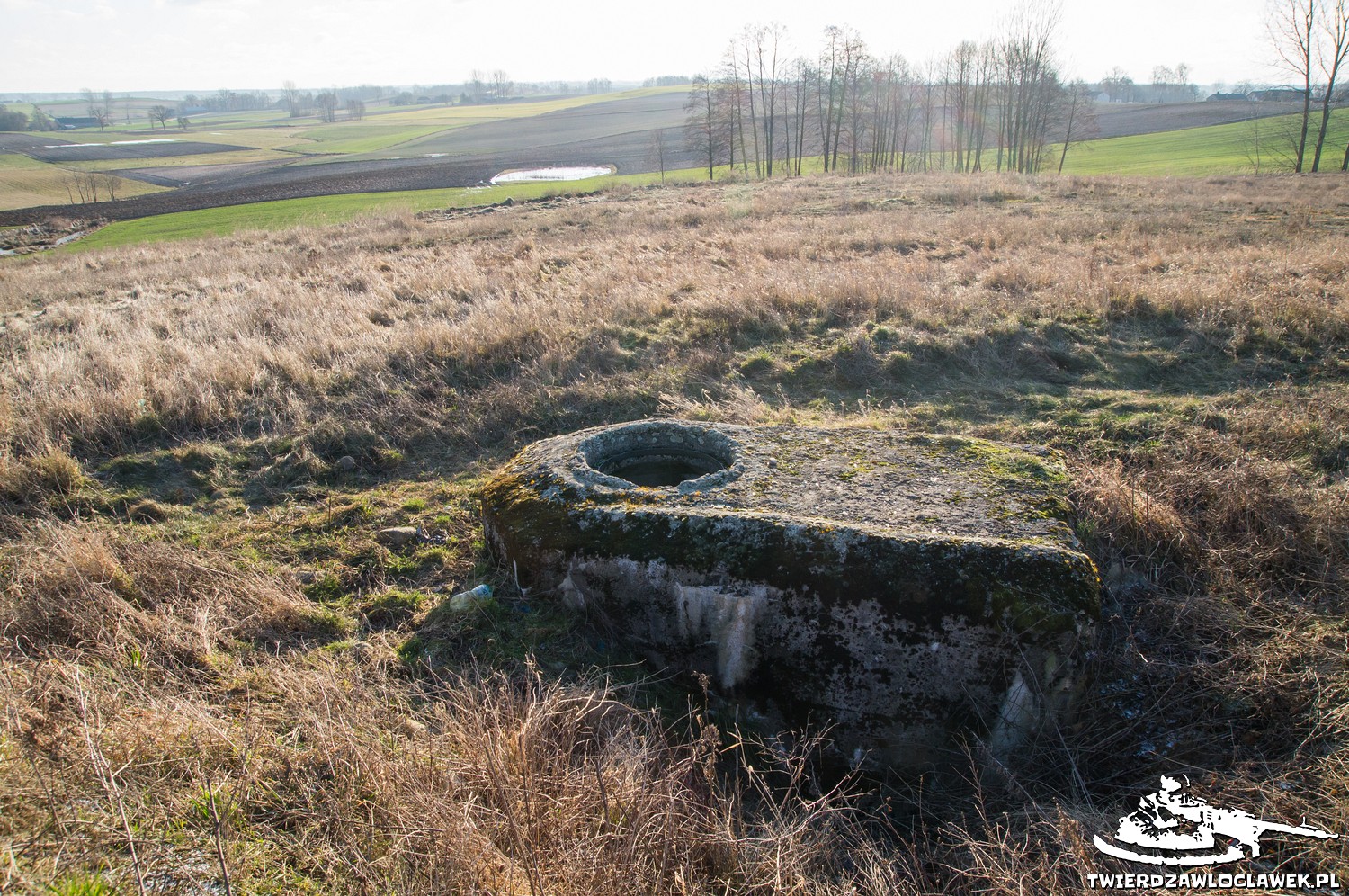 Read more about the article Schron Ringstand 58c – IK 06