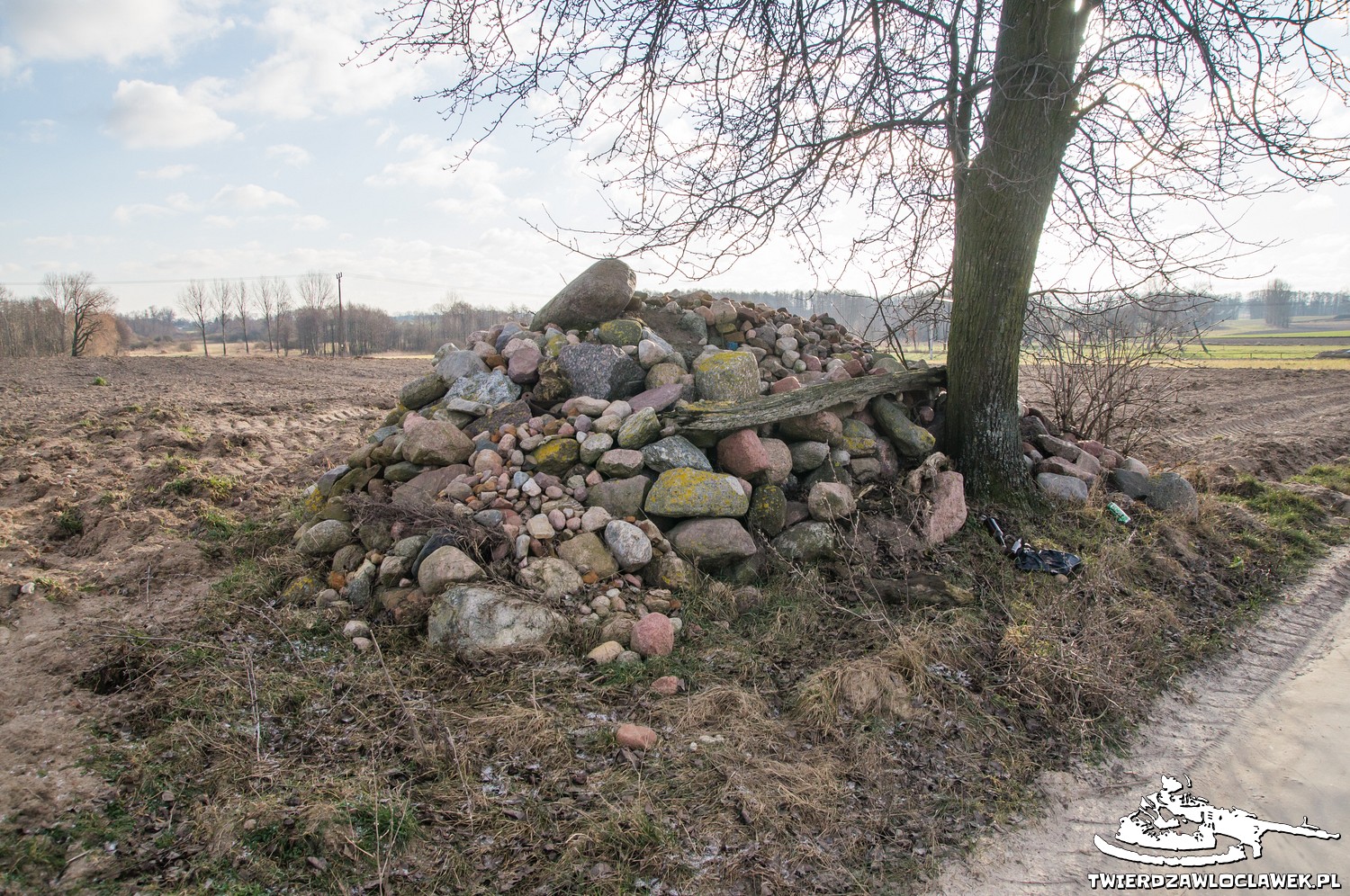 Read more about the article Schron Ringstand 58c – IK X4